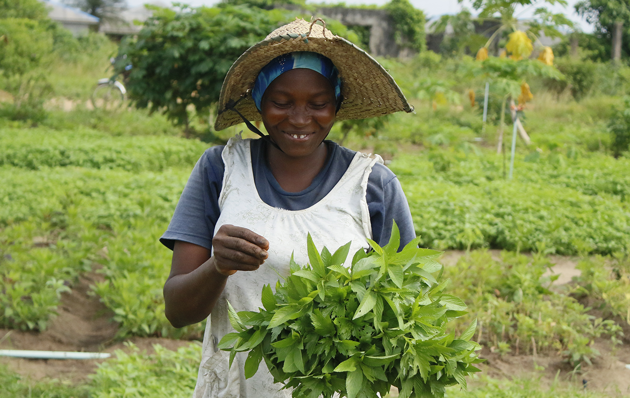 Partnership with farmer