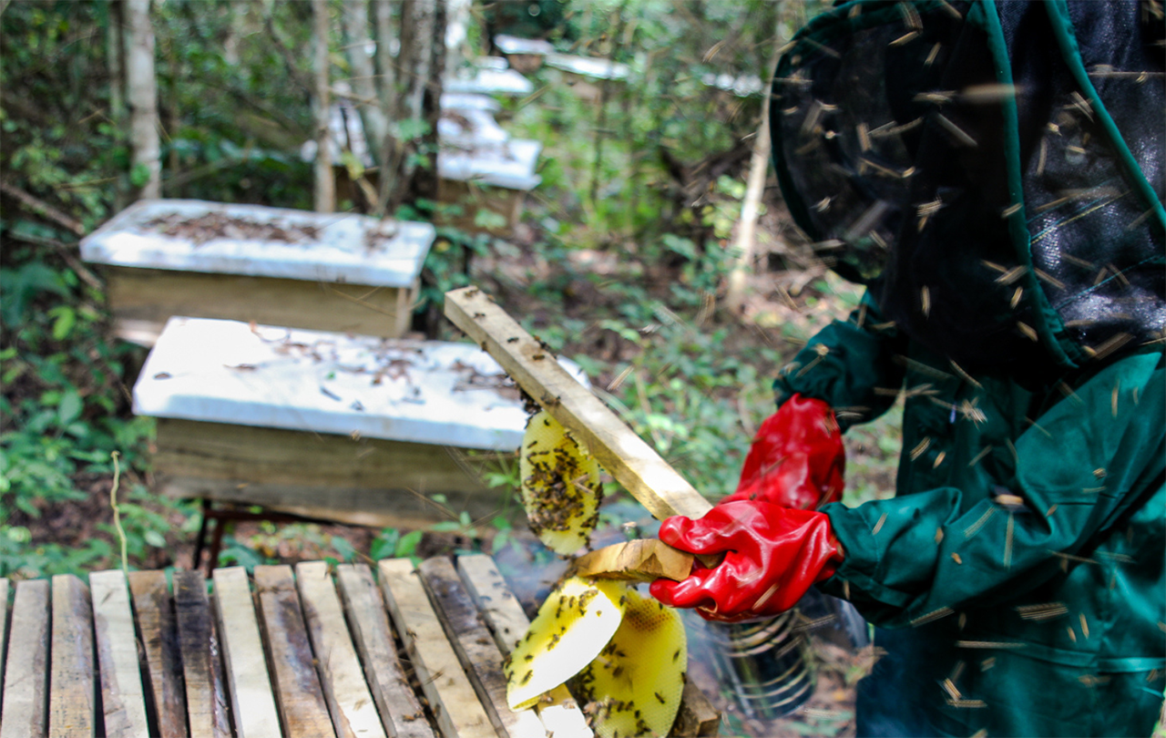 Bee keeping