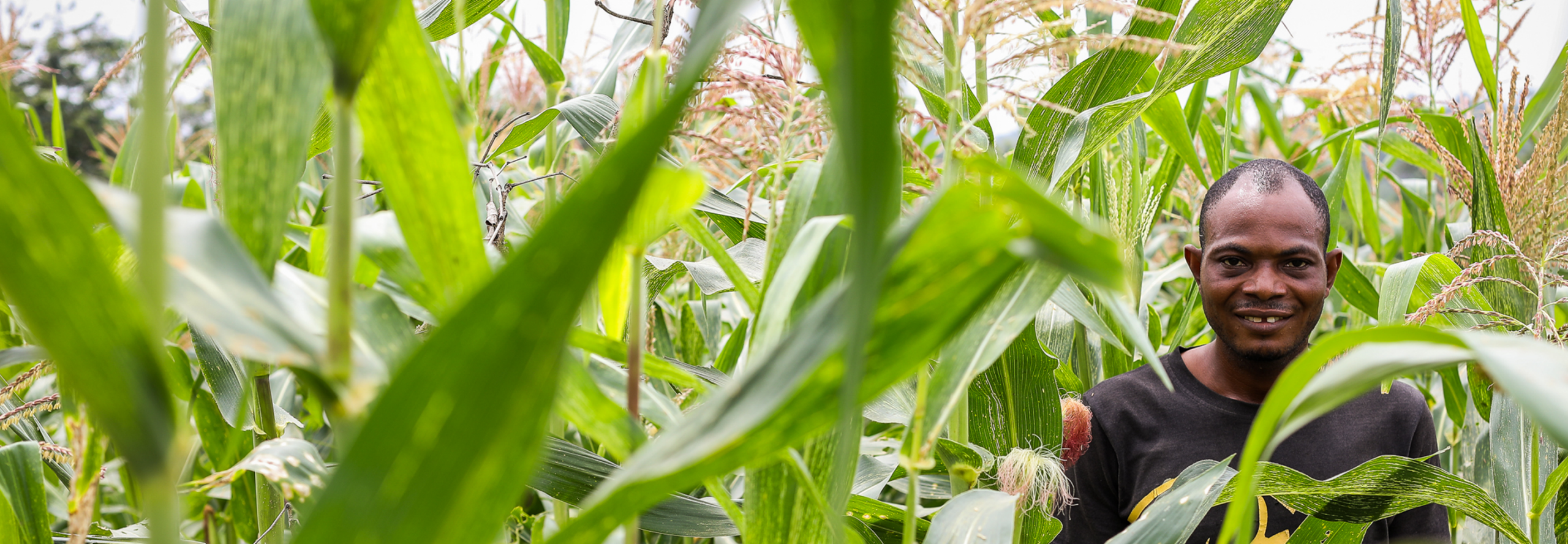 Farmer in field